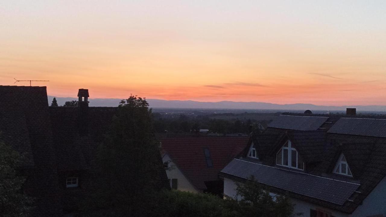 Ferienwohnung Vogesenblick Mullheim  Exteriör bild